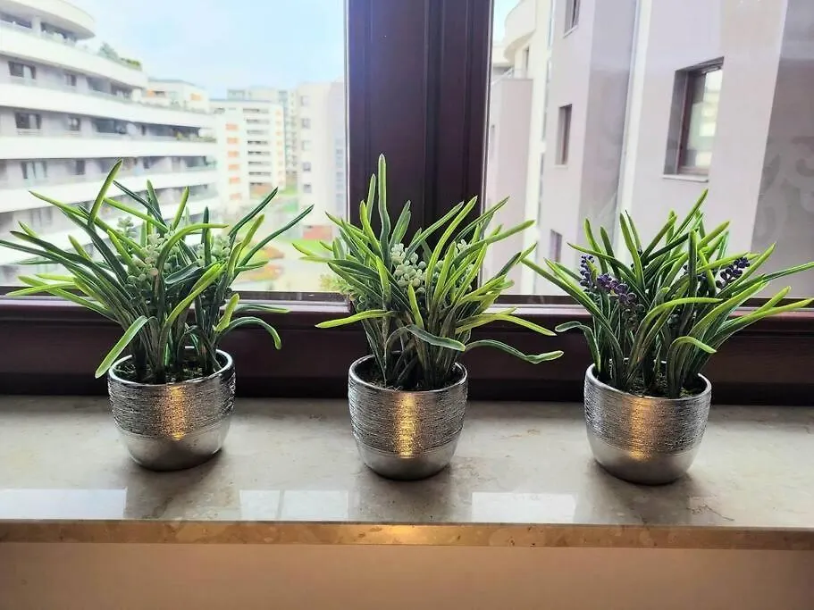 Apartment Sophie 3 Rooms, 2 Bathrooms, 8 Persons Krakow Poland